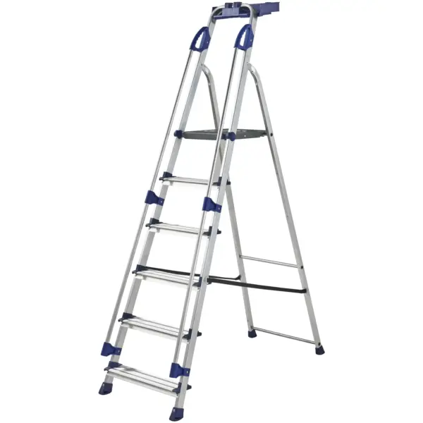 Werner 6 Tread Step Ladder