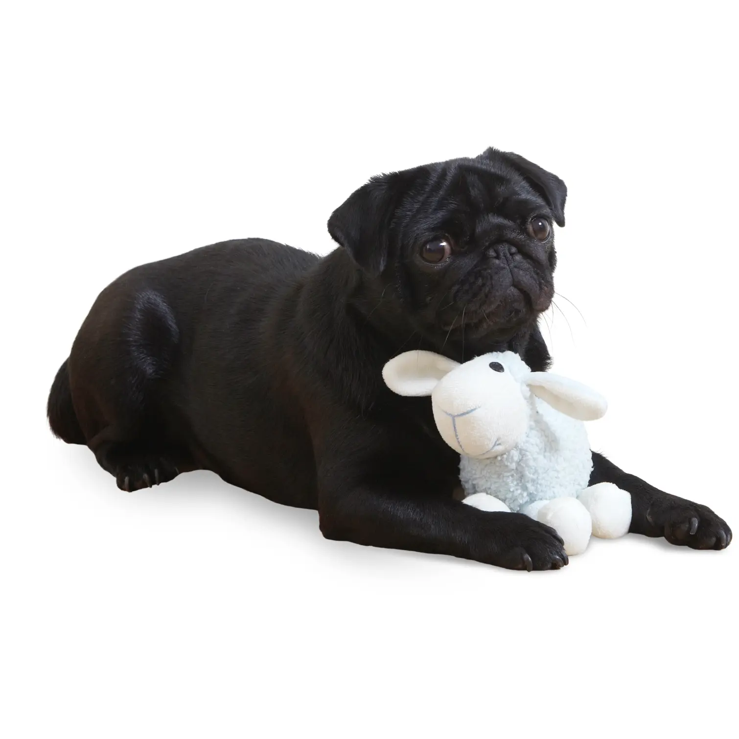 Ancol Small Bite Plush Lamb Dog Toy 15cm