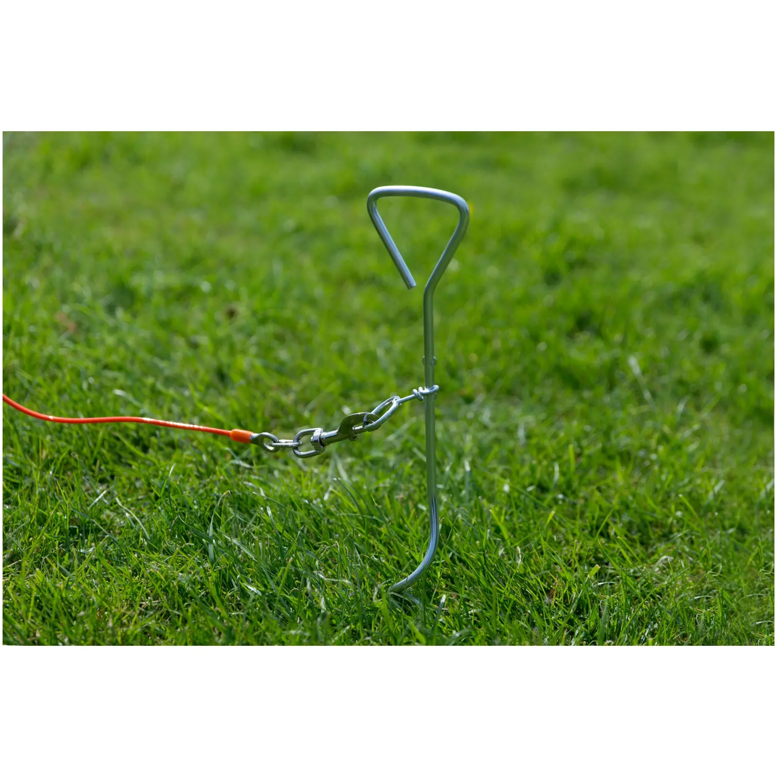 Ancol Tie-Out Stake for Dogs