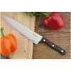 Apollo Cerbera Chef Knife 20cm