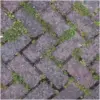BLO0003_6 Block Blitz Block Paving Cleaner Pack of 2
