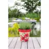 Creekwood Zest Garden Indoor Outdoor Pot Poppies & Bees 30cm