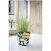 Creekwood Zest Pot Marbella 30cm