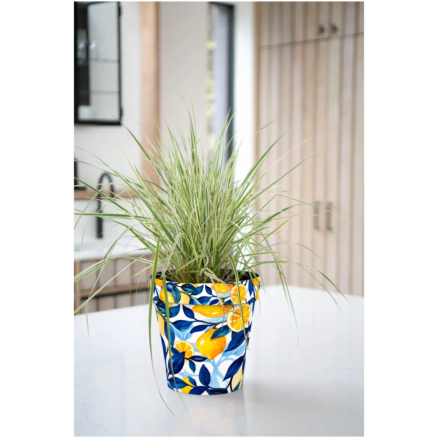 Creekwood Zest Pot Marbella 30cm