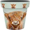 Creekwood Zest Pot Highland Cow 30cm