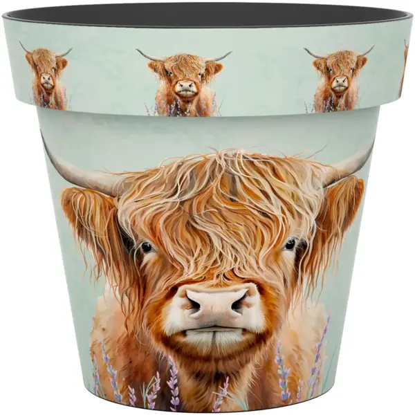 Creekwood Zest Pot Highland Cow 30cm