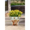 Creekwood Zest Pot Highland Cow 30cm