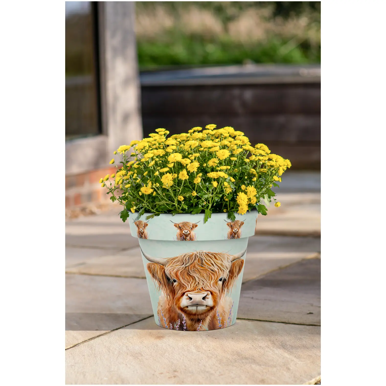Creekwood Zest Pot Highland Cow 30cm