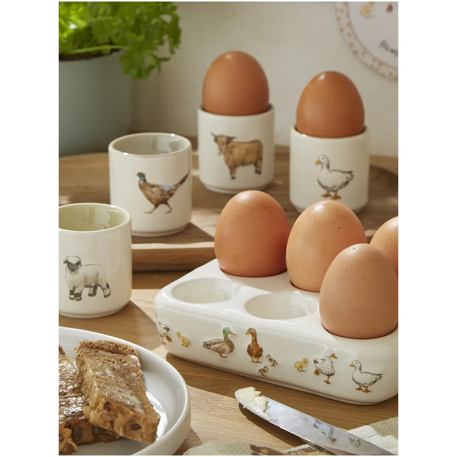 Cooksmart Buttercup Farm Egg Storage