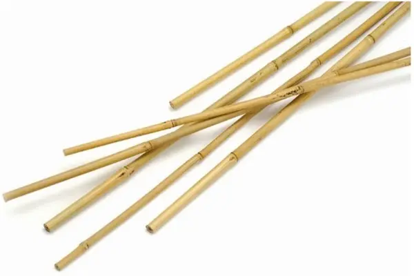 CPO0013 Clapro Bamboo Canes 1.8m(6ft)