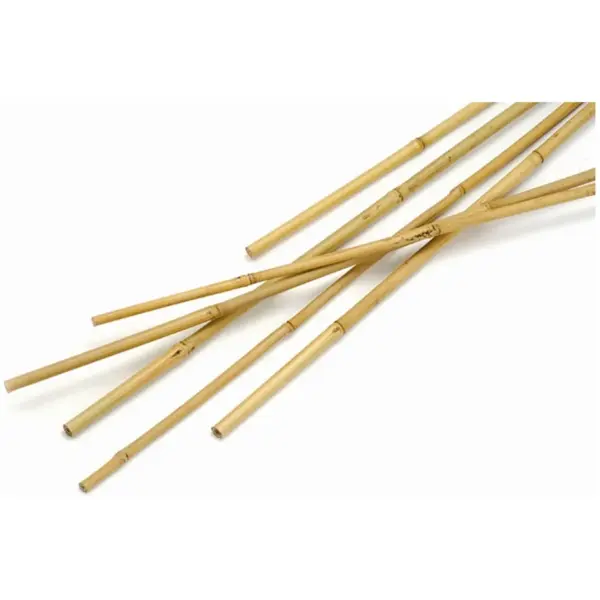 Clapro Bamboo Canes 2.4m(8ft)