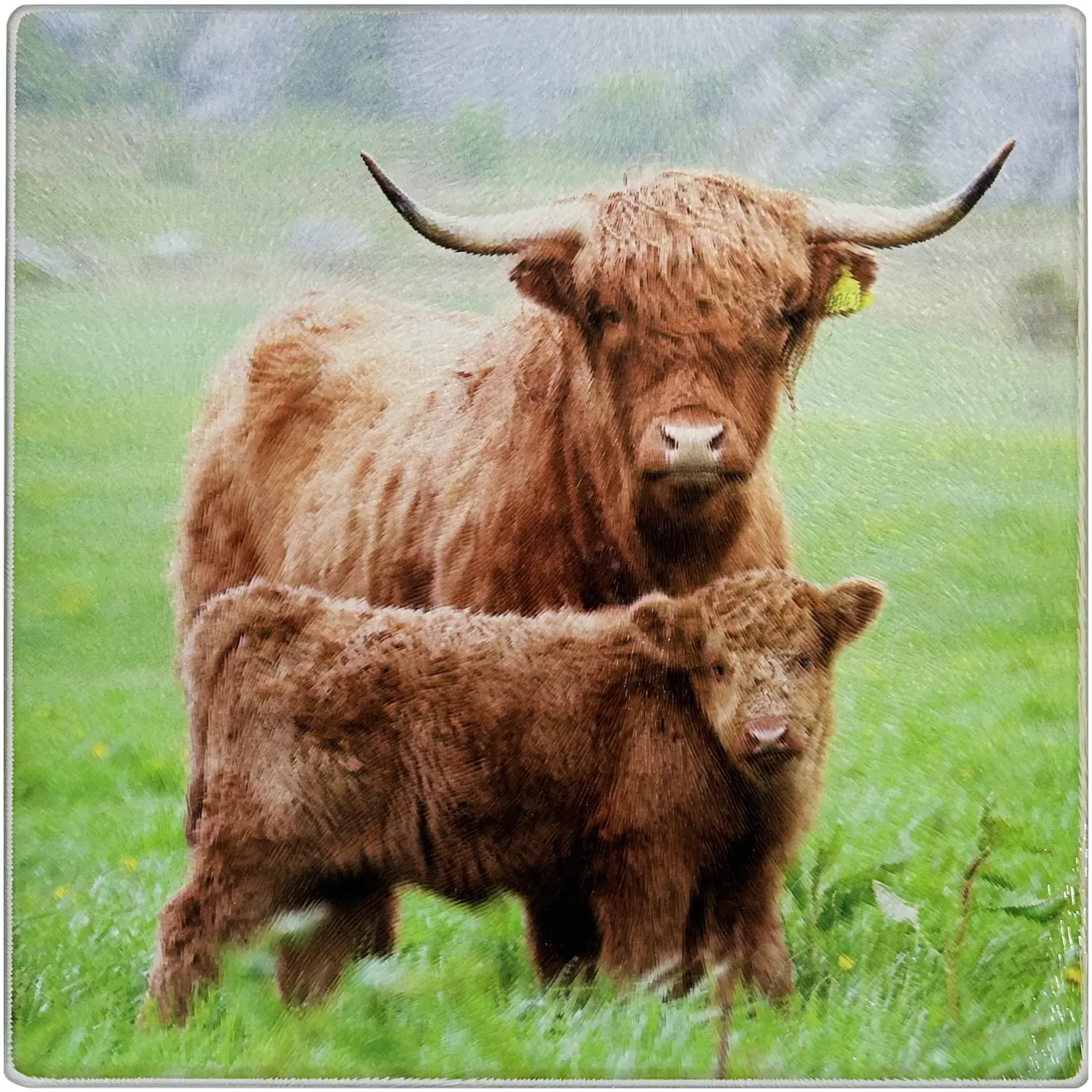 D&C Highland Family Glass Chopping Board 20x20cm