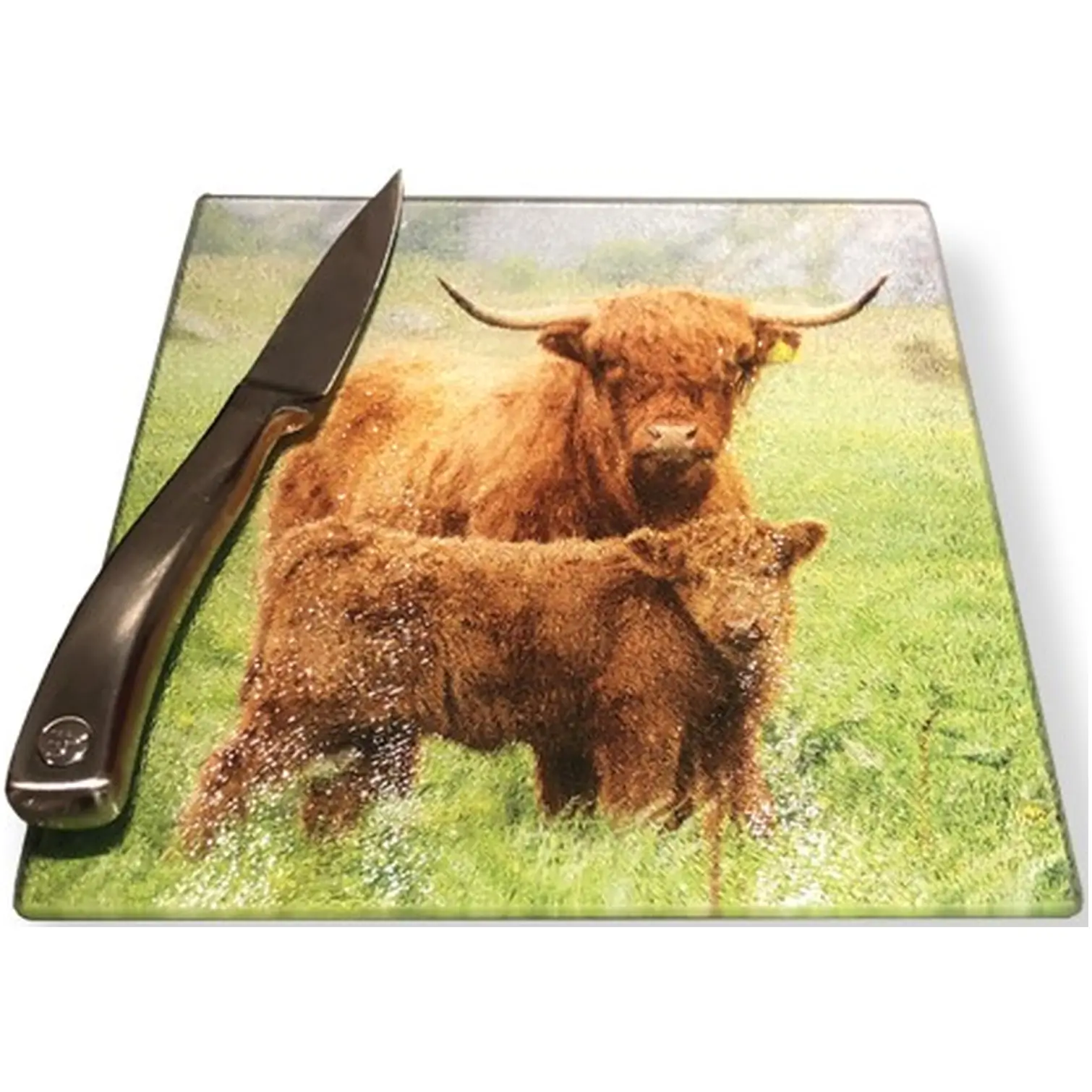 D&C Highland Family Glass Chopping Board 20x20cm