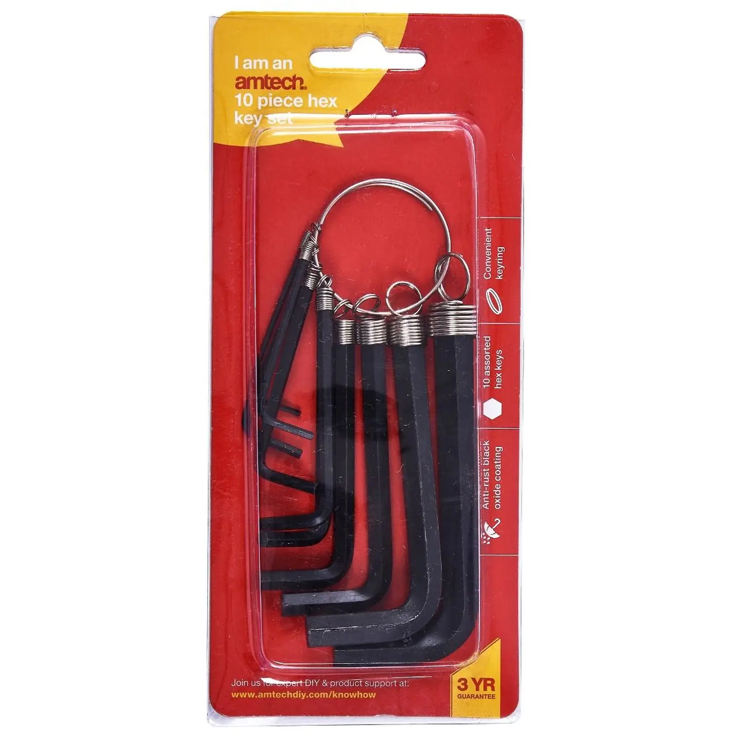 Amtech 10pc Metric Hex Key Set & Keyring