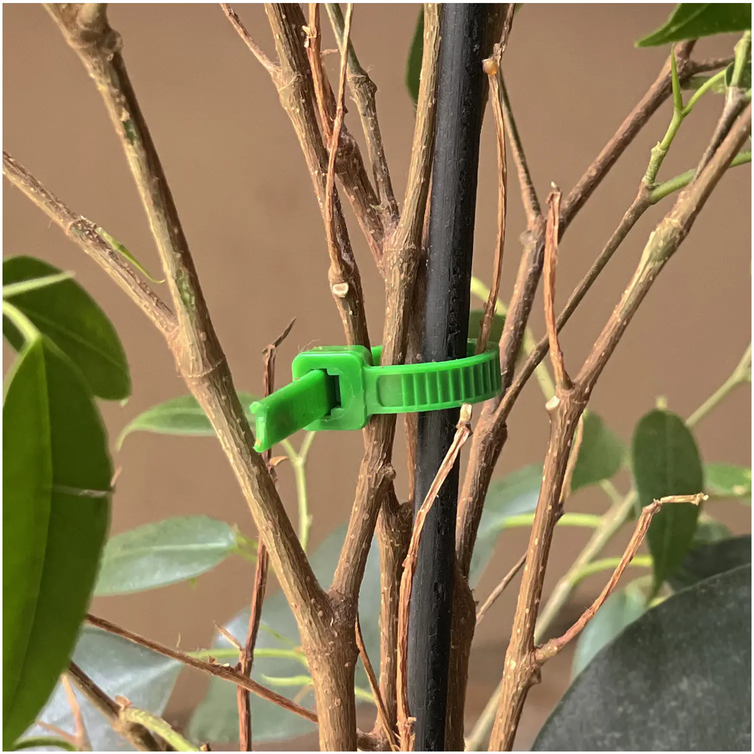 Am-Tech 300x4.8mm Cable Ties Green pk60