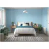 DUL0169_6 Dulux Matt First Dawn 2.5L