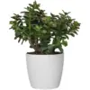 ELH0120_1 Brussels White Houseplant Pot 14cm