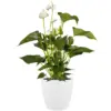 ELH0130_2 Brussels White Houseplant Pot 16cm