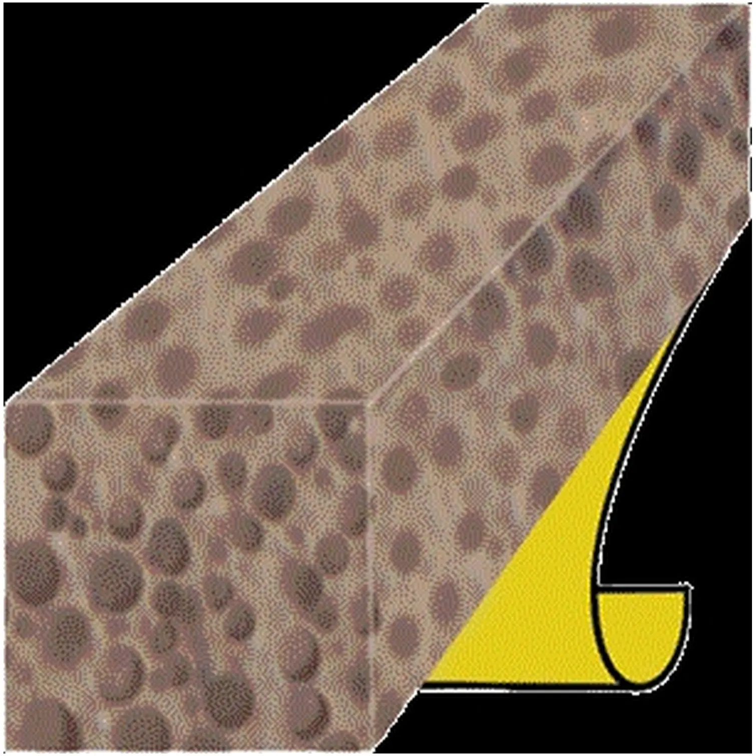 Exitex 5m(16ft5") Foam WHITE