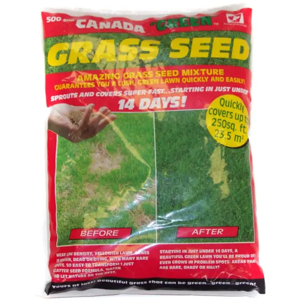 GAB0003 Canada Green Grass Seed 500g