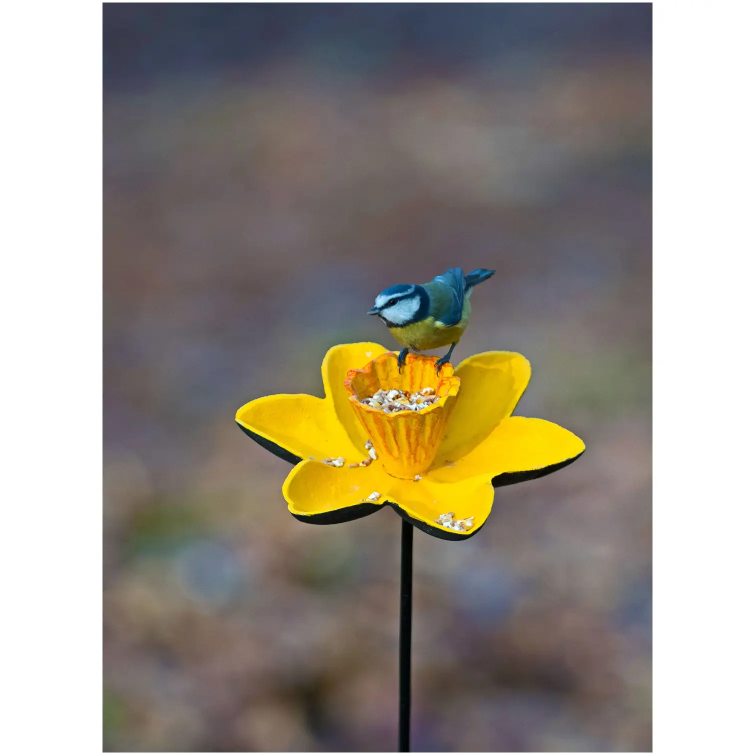Gardman Daffodil Feeding Dish C/Iron