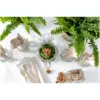 Chef Aid Eco Friendly Cutlery Set 24 Pce
