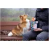Rosewood Dog Large Chicken Fillet Strips