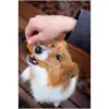 Rosewood Dog Large Chicken Fillet Strips