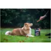 Rosewood Dog Large Salmon Fillet Strips