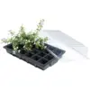 Standard Propagator pk3
