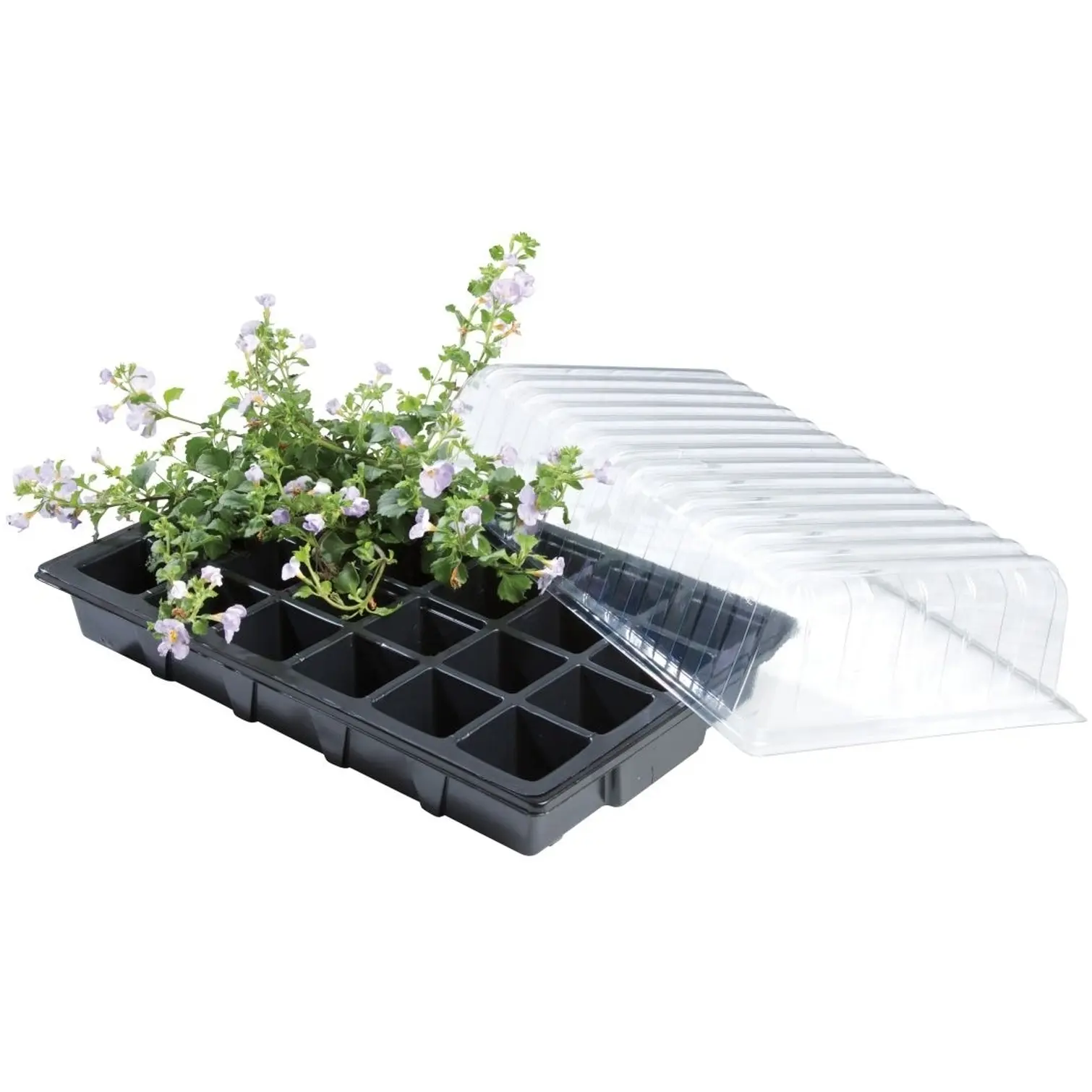 Standard Propagator pk3