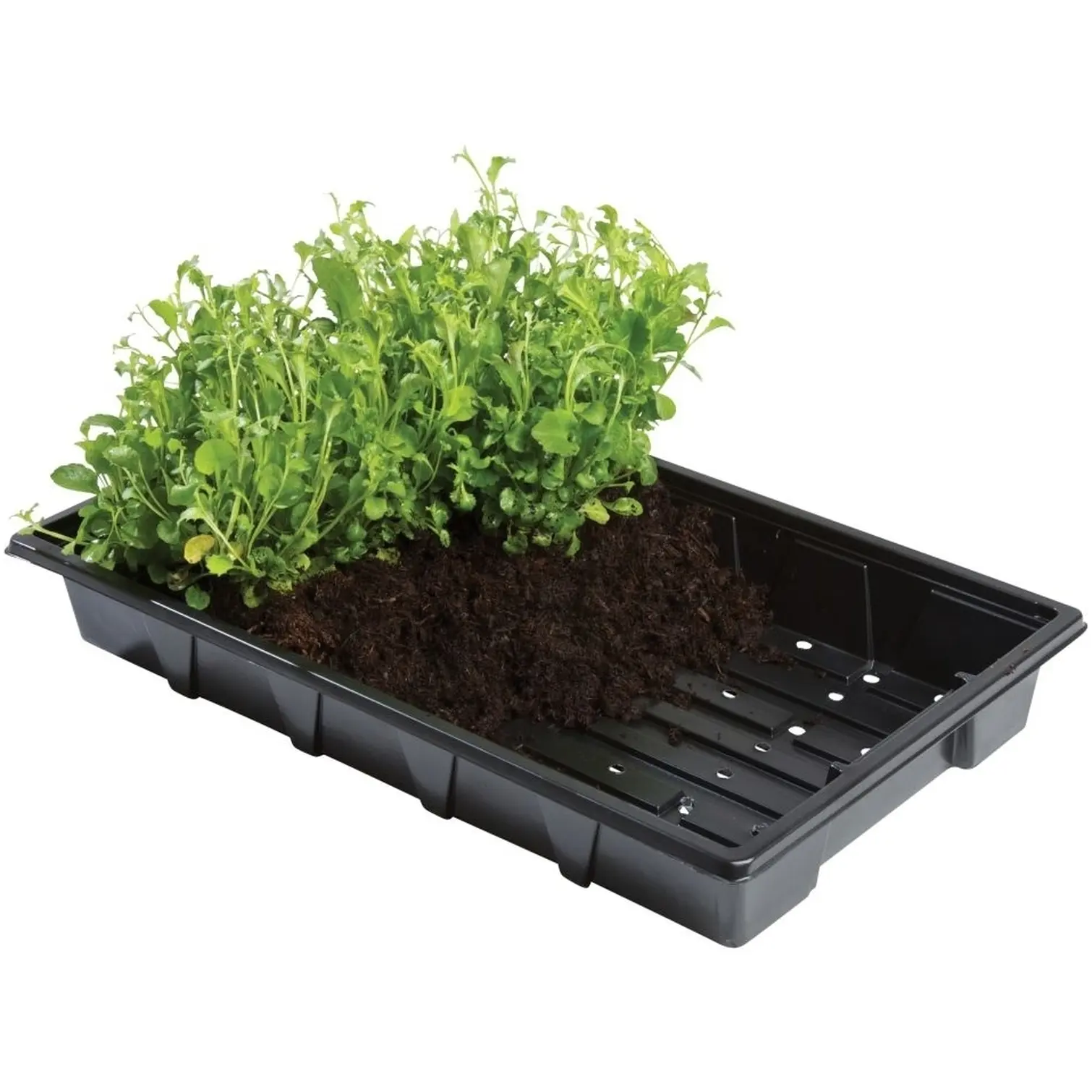 Standard Seed Tray 37x23cm(5)