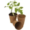 Round Fibre pots 6cm pk24