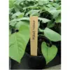 Wooden Plant Labels 10cm