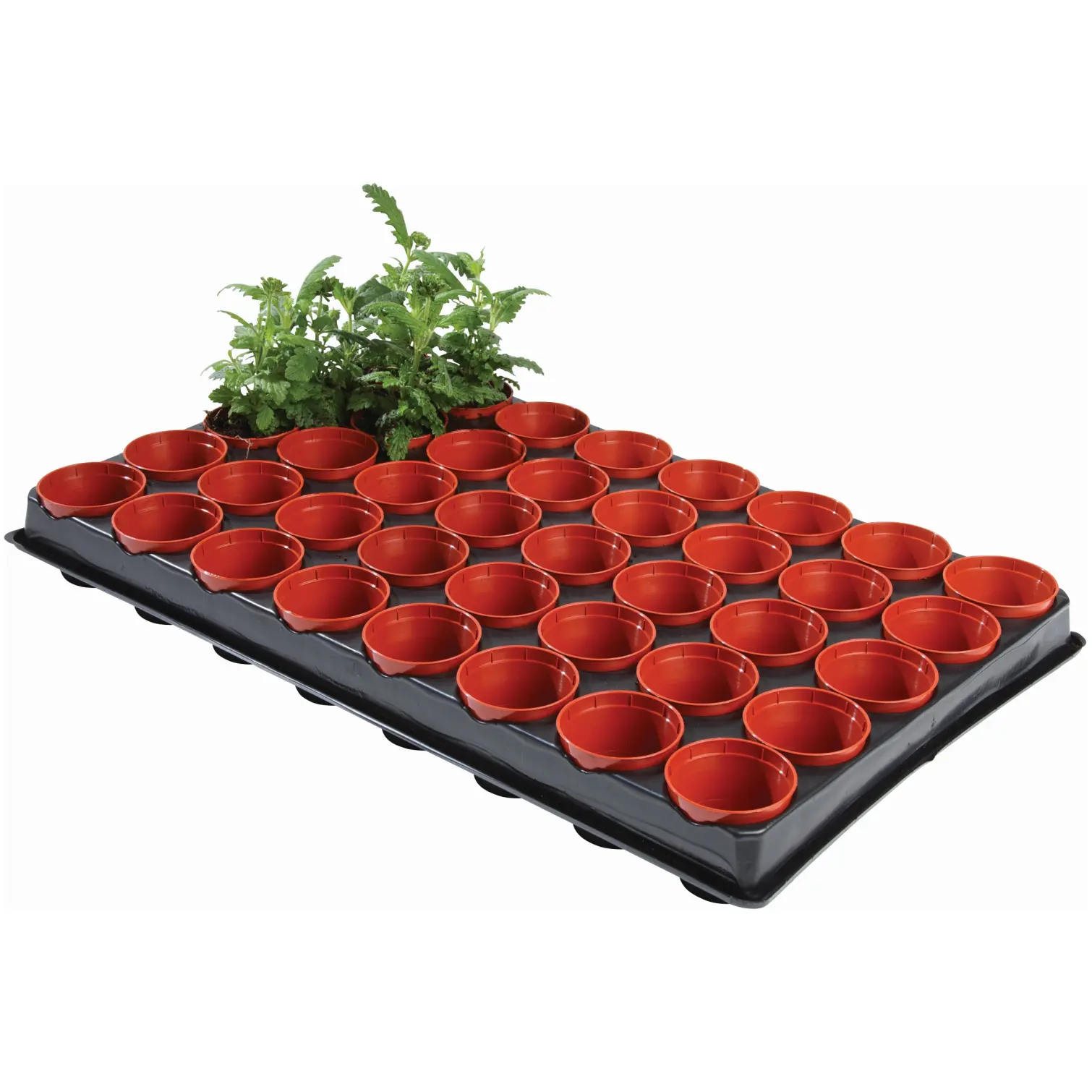 Garland 6cm Pots Seed & Cutting Tray