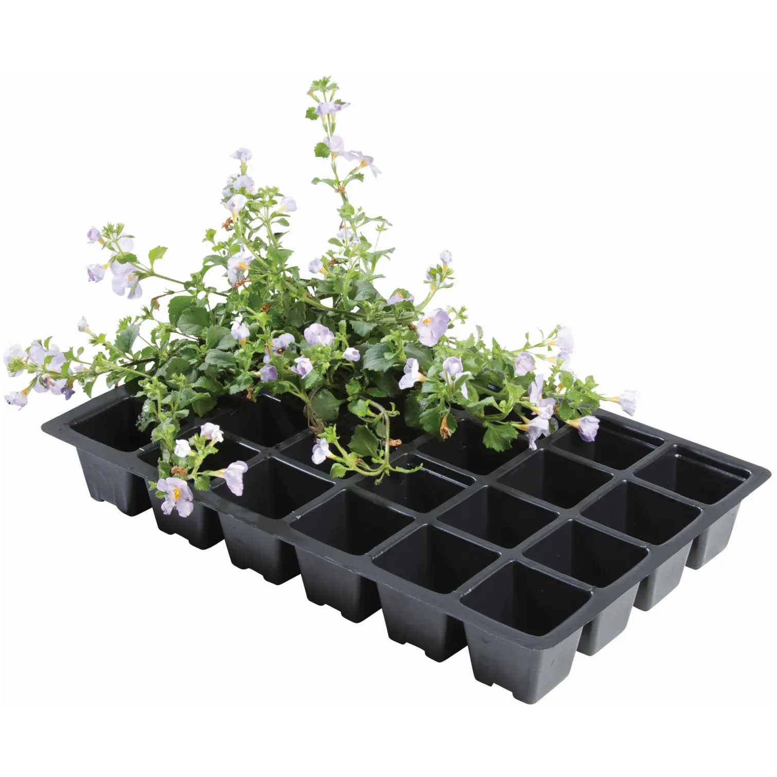 Garland Seed Tray 24 Cell