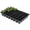 Garland Seed Tray 40 Cell