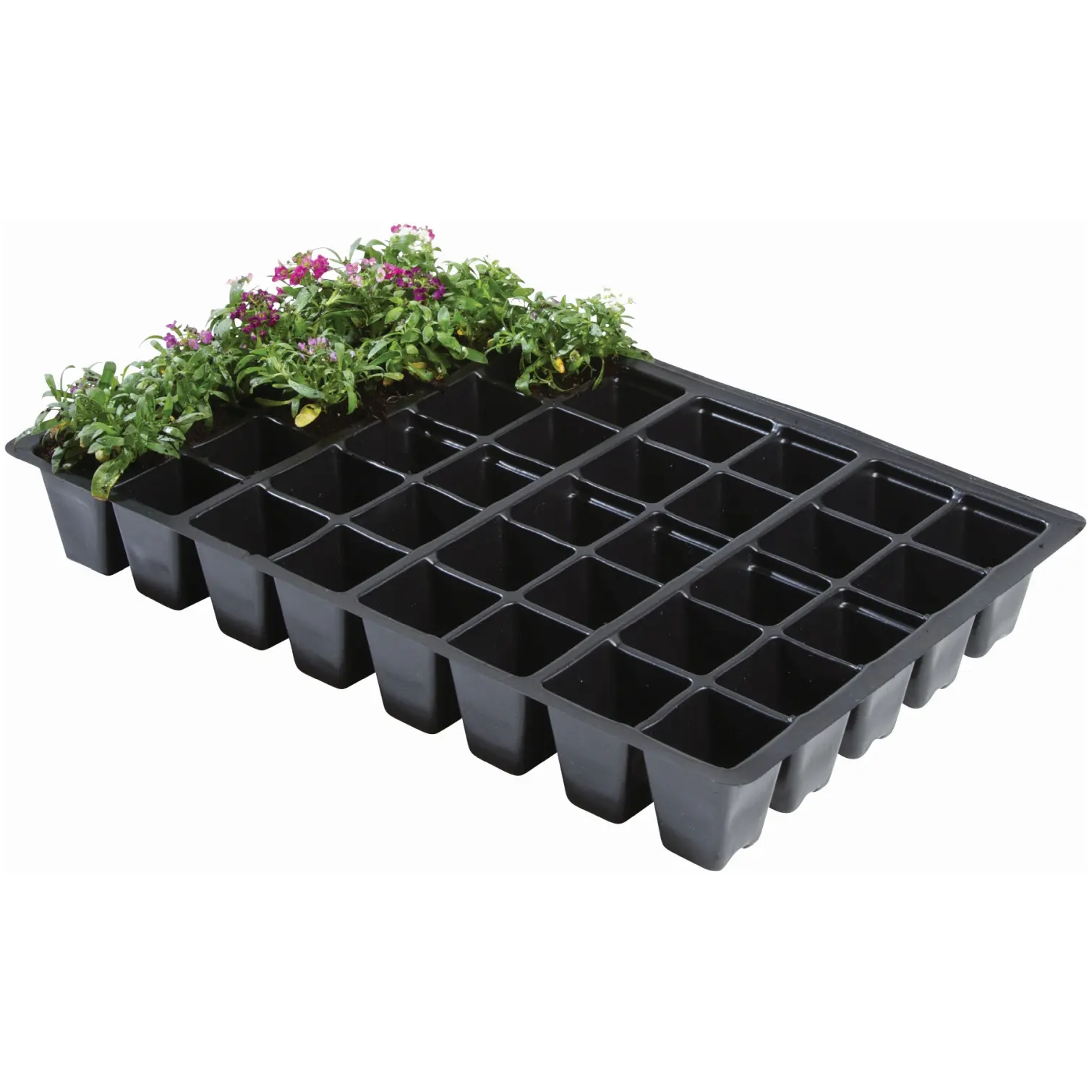 Garland Seed Tray 40 Cell