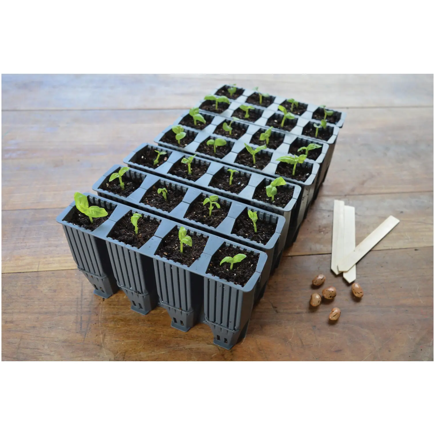 Garland 28 Cell Deep Root Plant Cells