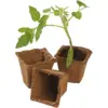 Square Fibre Pots 6cm pk20