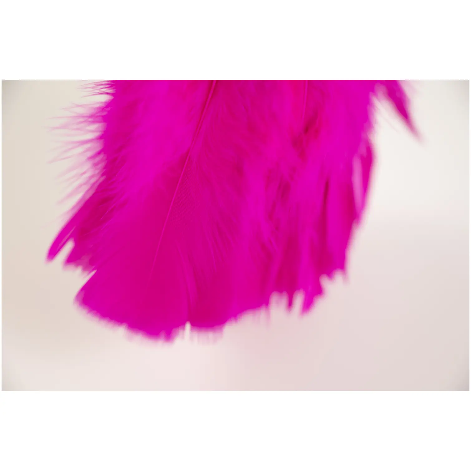 Hillbrush Soft Feather Duster