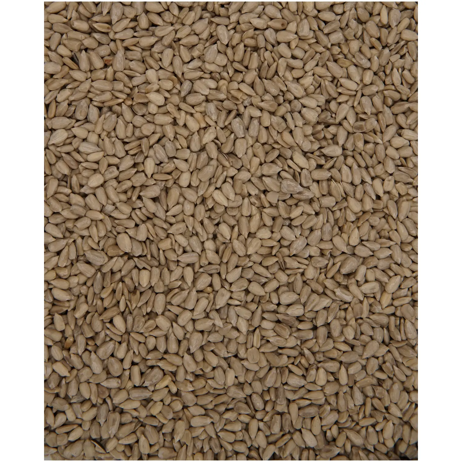 Henry Bell Wild Bird Food Sunflower Hearts 2kg