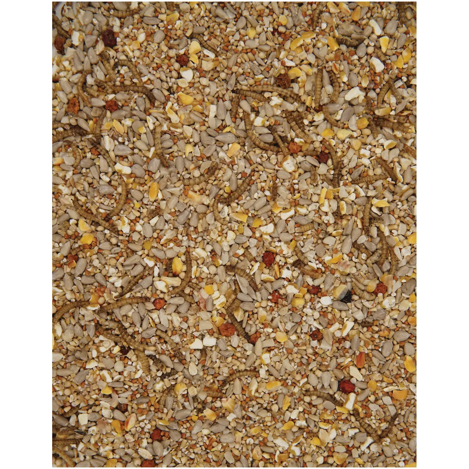HEY0065_1 Henry Bell Wild Bird Food Robin Blend 1.8kg