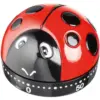 Judge Ladybird Timer