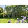 Hozelock Rectangular Sprinkler Pro 220m