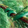 KIN0049_1 Kingfisher Spongy Plant Tie 4.8mtr