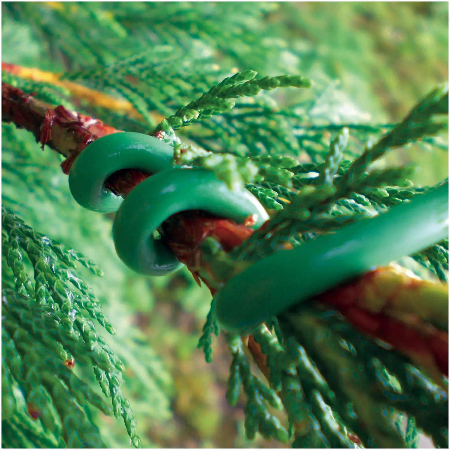KIN0049_1 Kingfisher Spongy Plant Tie 4.8mtr