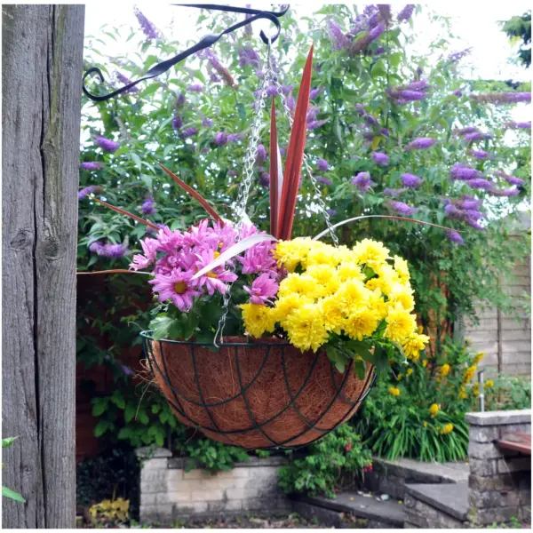 KIN0054 Kingfisher 35cm Hanging Basket Green