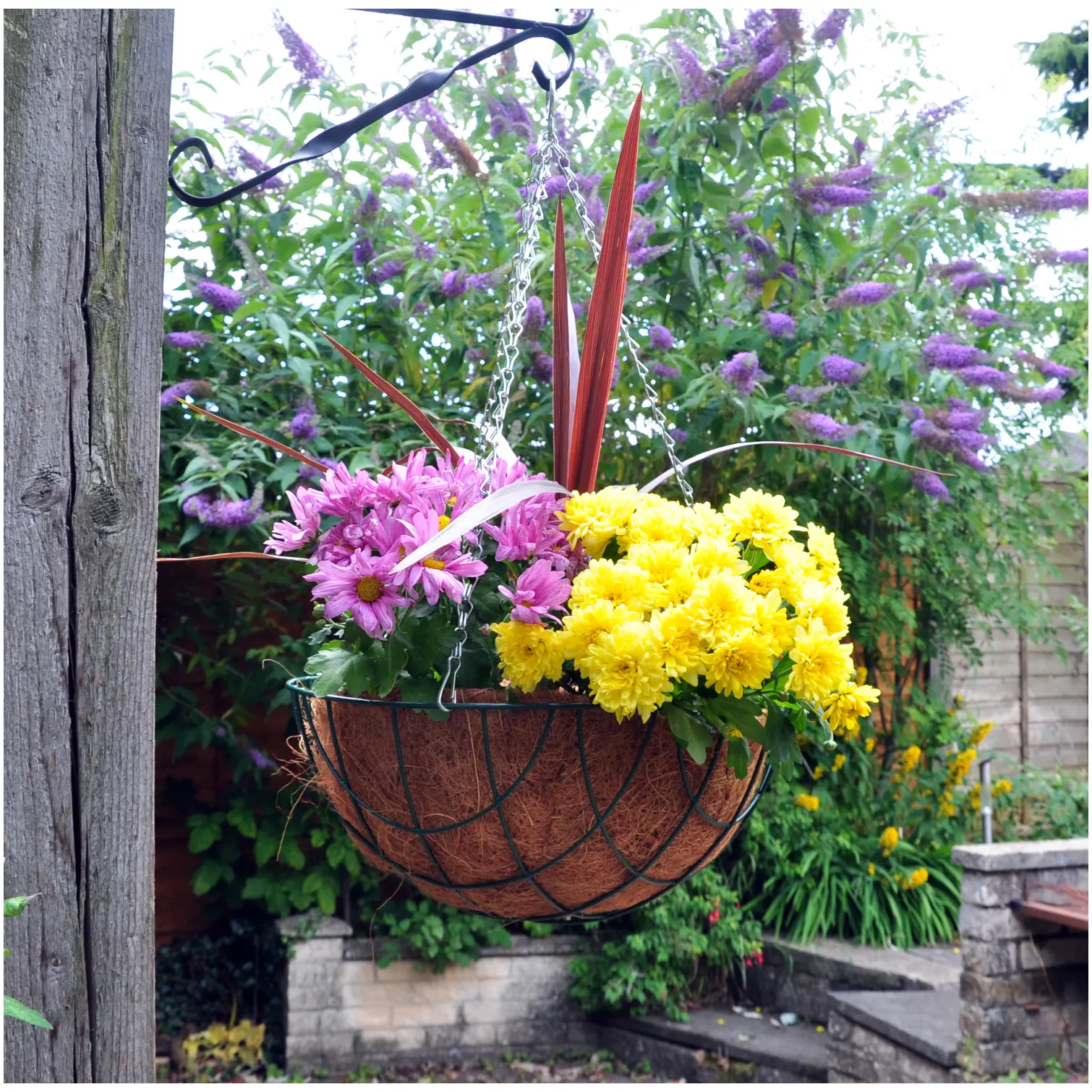 Kingfisher 35cm Hanging Basket Green
