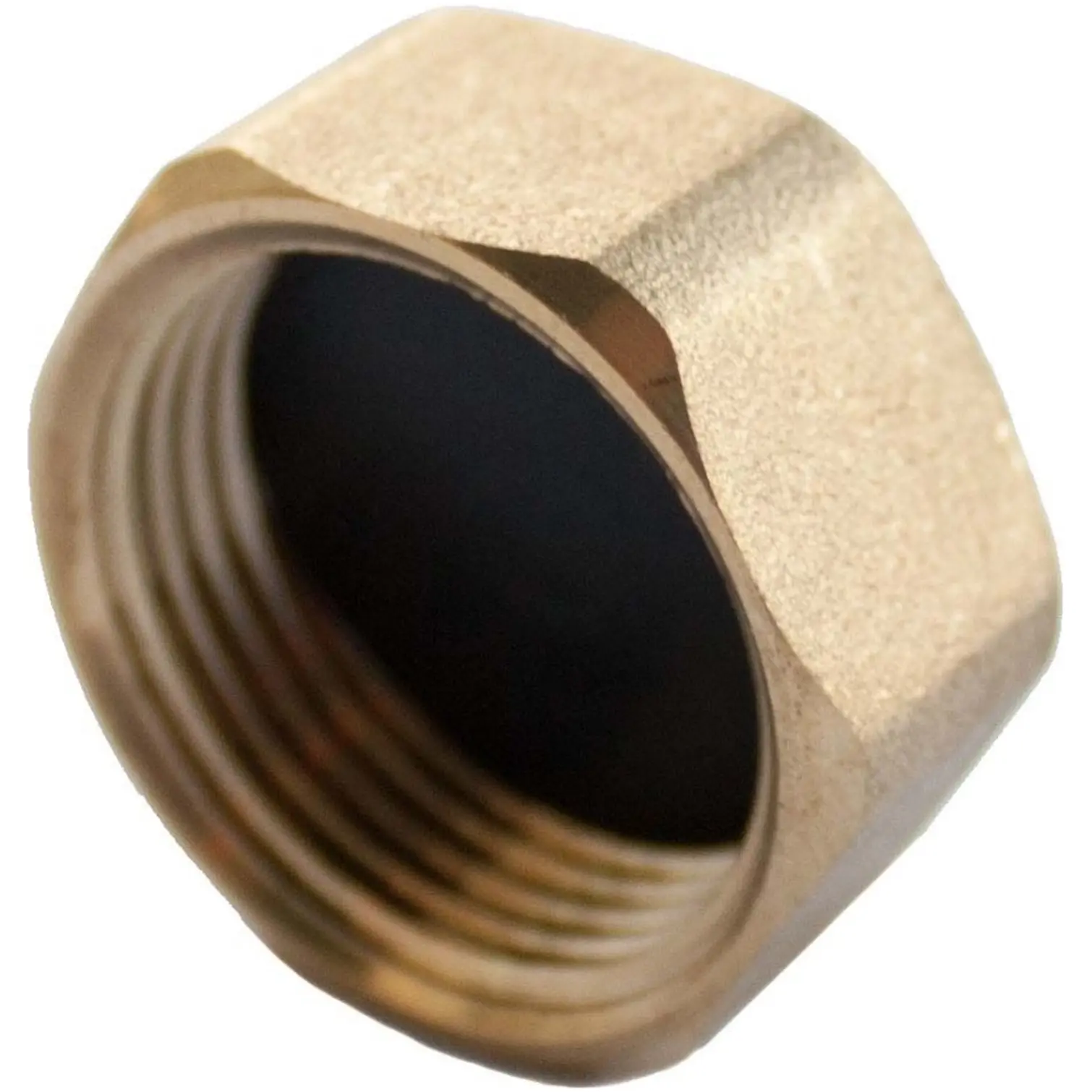 Securplumb Blanking Nut 19mm